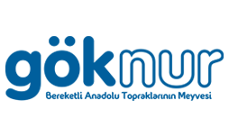 Göknur
