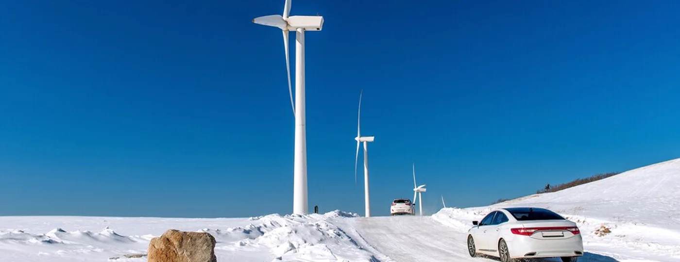 What Are Renewable Energy Sources?